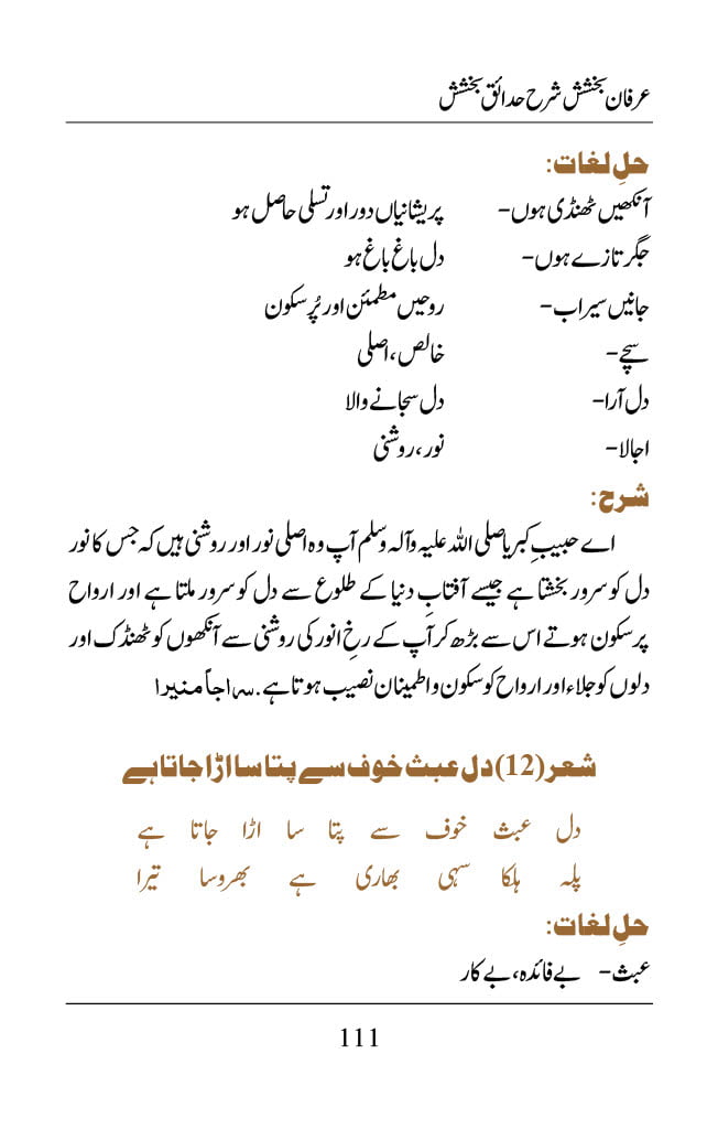 Irfane Bakhshish - Page 111