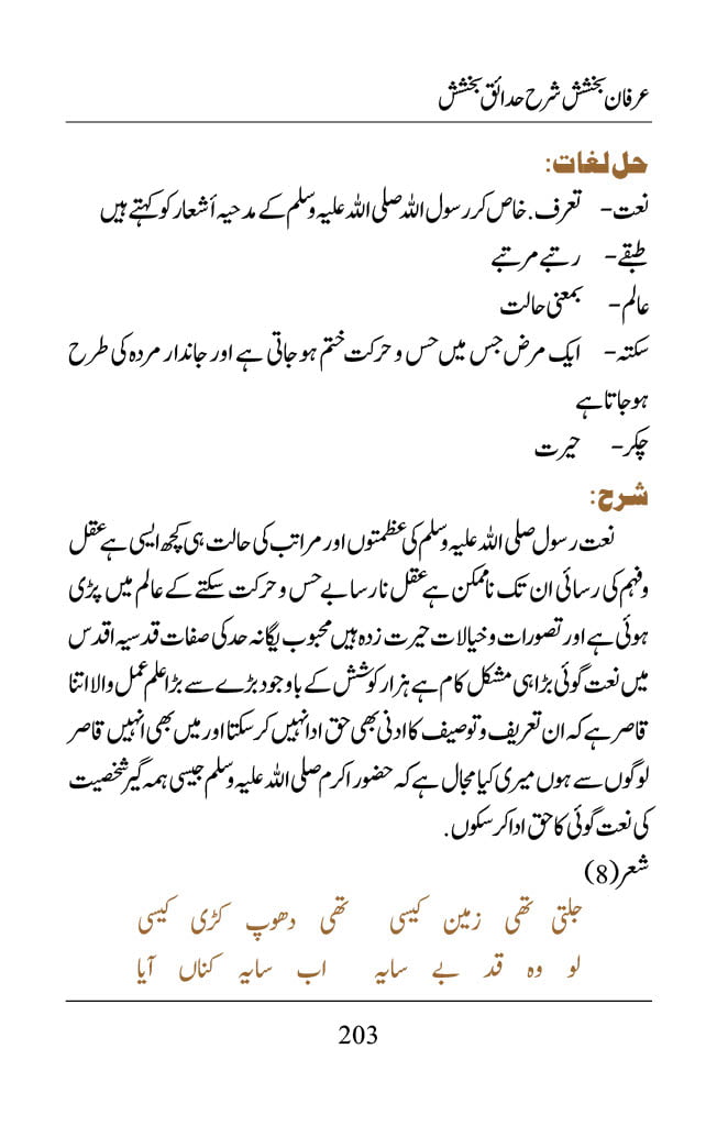 Irfane Bakhshish - Page 203